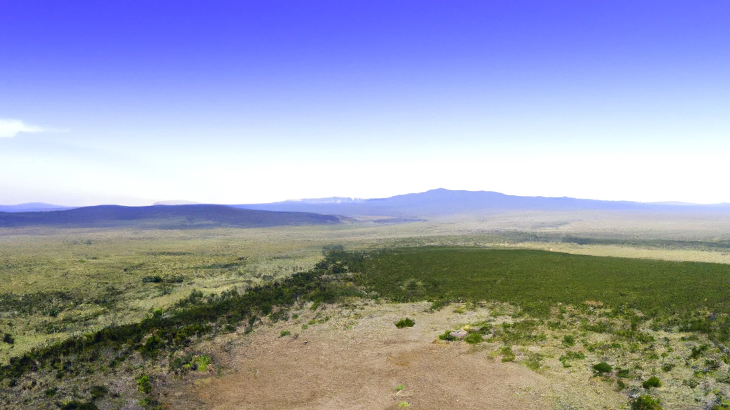 Vacant land parcel for sale in Catron County, New Mexico